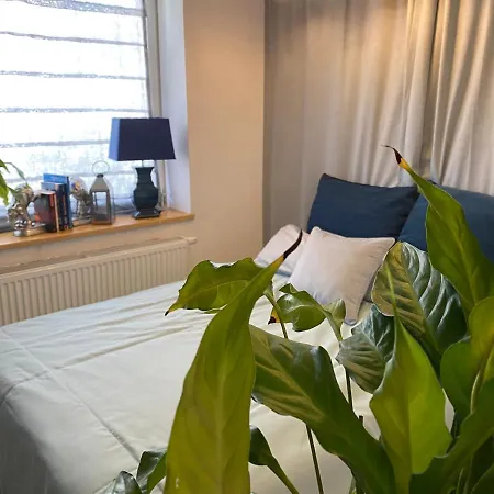 M4 Miejski Apartament Appartamento